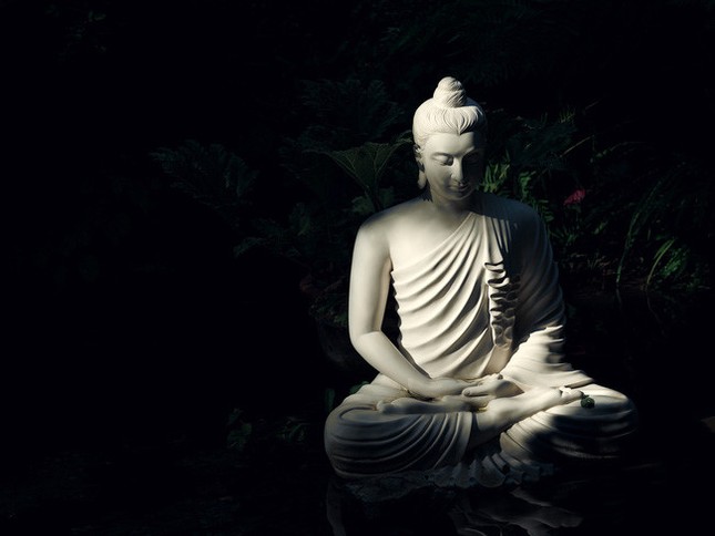 Việc học Phật không phải là một quá trình dễ dàng mà đòi hỏi một nỗ lực rất lớn