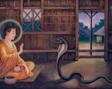 cuu-ran-ran-bao-on